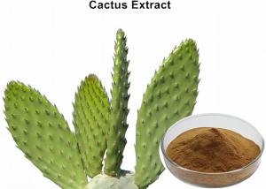 Cheap Weight Loss Prickly Pear Cactus Extract Powder , Leaf And Stem Herbal Extraction Plant wholesale