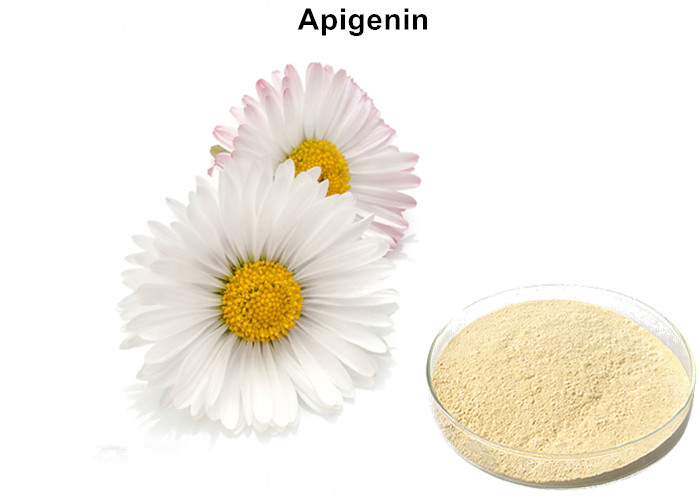 Cheap Cardiovascular Protection Monomer Powder Antioxidant Natural 98% Apigenin / Versulin CAS 520 36 5 wholesale
