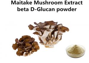 Cheap Food Grade Maitake Mushroom Polysaccharides Extract Light Yellow Fine Powder Anti - Cancer wholesale
