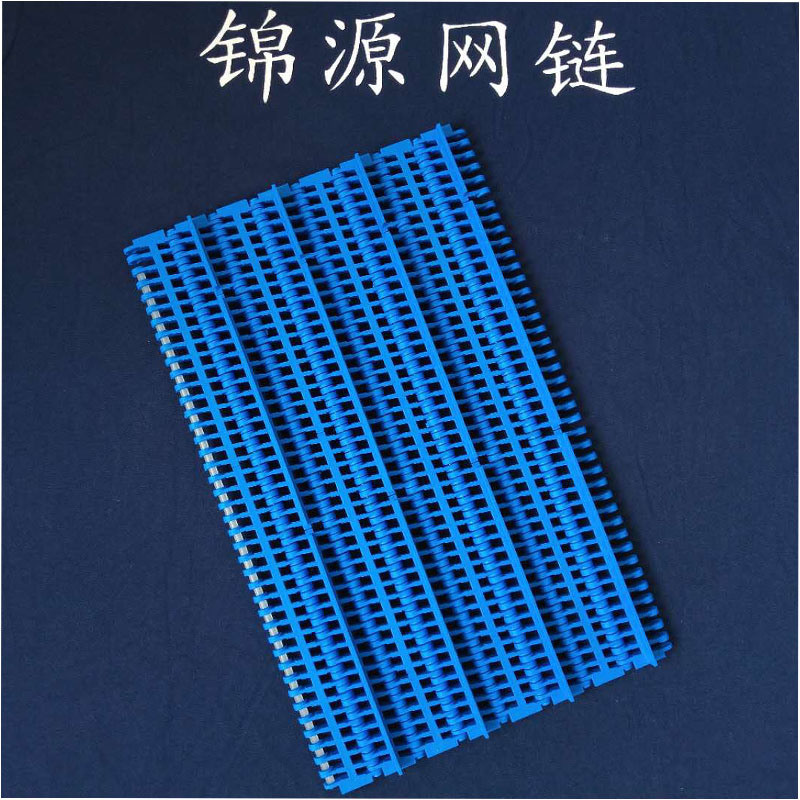 China                  Wholesale Food Grade Plastic Conveyor Belt for Injection Moulding Machine Morocco Date Palm Production Industry              on sale