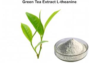 Cheap 100% Natural L - Theanine Green Tea Extract Powder White Healthcare Food For Sleep wholesale