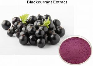 Cheap Natural Blackcurrant  Anthocyanin Extract Powder UV Improving Immunity Non - GMO wholesale