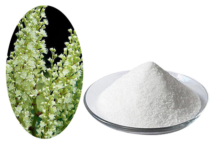 Cheap Antifugal CAS 501-36-0 C14H12O3 Resveratrol Bulk Powder wholesale