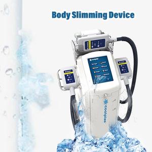 Cheap 230VAC Cryolipolysis Slimming Machine Weight Loss wind cooling 30cm×40cm×90cm 30kg wholesale
