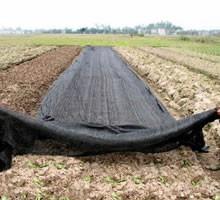 China Shade Mesh for Agriculture on sale