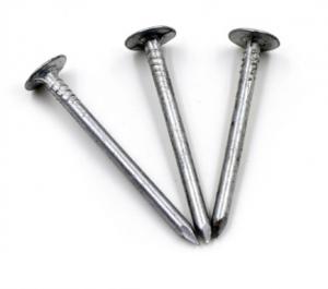 Cheap Flat Bright Finish Roofing Cap Nails , Galvanized Ring Shank Roofing Nails wholesale