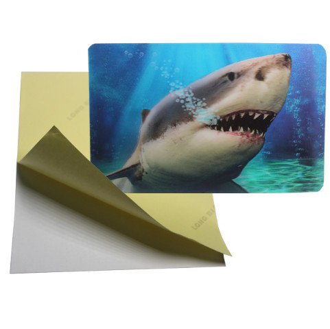 Cheap cheap price 3d lenticular sticker pp pet flip effect lenticular sticker printing with the adhesive on the backside wholesale