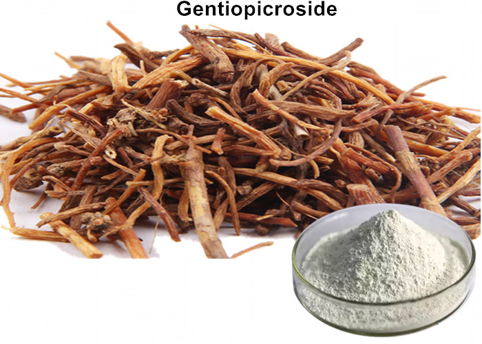 Cheap Liver Protection Gentiana Scabra Bunge , Healthy 98% Gentiopicroside Powder wholesale