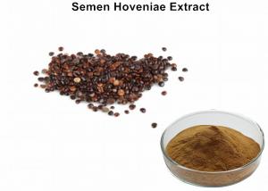 Cheap Semen Hoveniae Extract 4% Triterpenoids relieving alcoholism wholesale