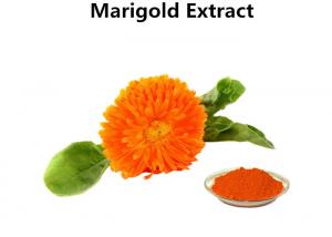 Cheap Eye Protection Natural Food Coloring Powder , 5% Marigold Flower Extract Zeaxanthin Powder wholesale
