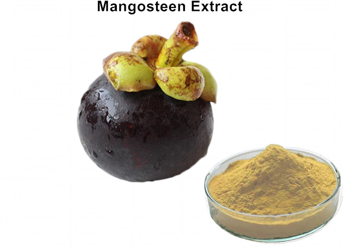 Cheap Strengthen Immunity Mangosteen Fruit Extract , 10% α-Mangostin Mangosteen Extract Powder wholesale