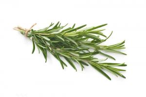 Cheap Sedation Organic Rosemary Extract , Natural Rosemary Leaf Extract For Antioxidants wholesale