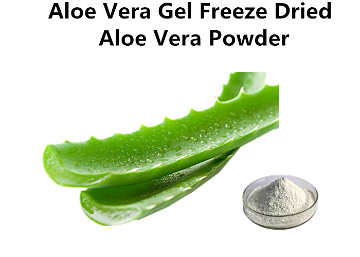 Cheap Freeze Dried Aloe Vera Extract Powder Pure White Water Soluble Concentrate wholesale