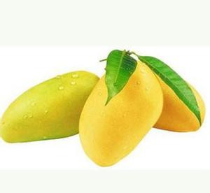 Cheap Light Yellow Organic Mango Juice Powder , Food Grade Raw Mango Drink Powder Nutrition wholesale