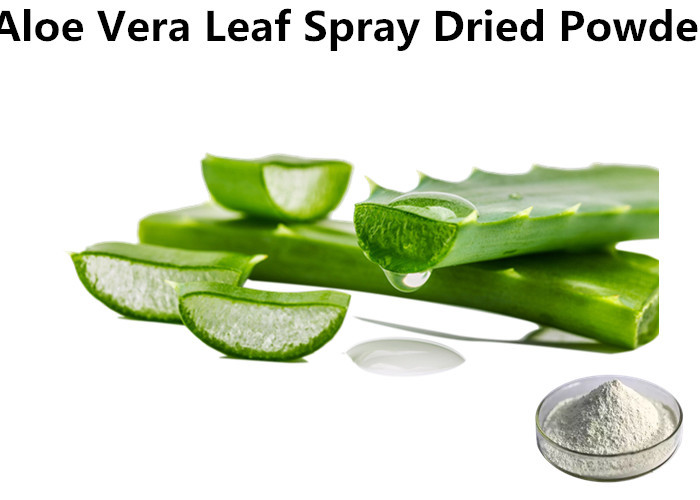 Cheap Healthy Aloe Vera Leaf Powder , Spray Dried Aloe Vera Powder For Cosmetics Hygiene Products wholesale