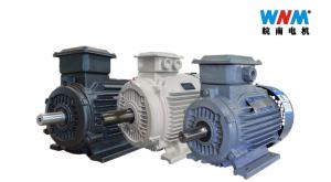 Cheap YE Series IE3  Electric Motor wholesale