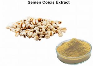 Cheap Semen Coicis Extract 0.5% Coixenolide removing acens wholesale