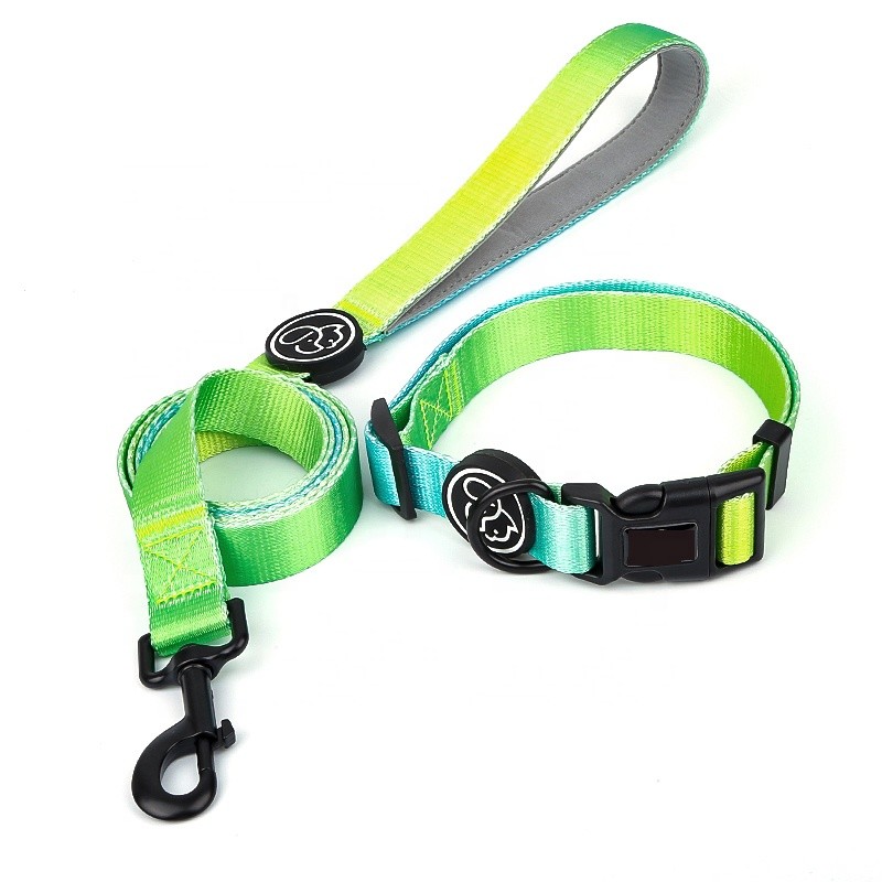 China Gradient Pet Collars Leashes Set 150Cm Chain Length Seat Belt Buckle Dog Collar on sale