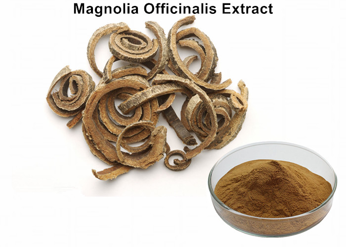Cheap Magnolia Officinalis Extract 2% - 98% Powder Honokiol HPLC anti-bacteria wholesale