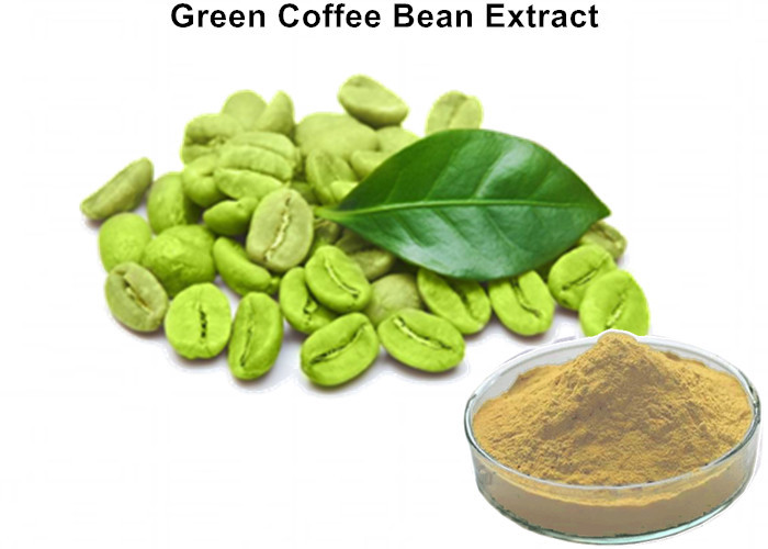 Cheap Natural Plant Extract Powder 45% Chlorogenic Acid 100 Pure Green Coffee Bean Extract Caffeine Capsules wholesale