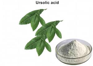 Cheap Pharmaceutical Loquat Leaf Extract , 98% Ursolic Acid Powder CAS 77 52 1 wholesale