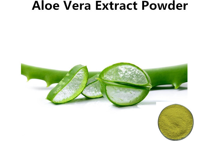 Cheap High Purity Aloe Vera Extract Powder 98% Aloin For Cosmetics And Shampoo wholesale