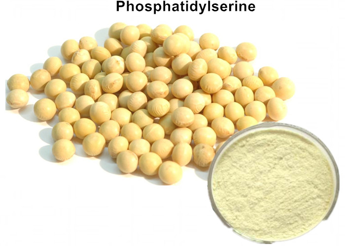 Cheap Enhancing Memory Organic Plant Protein Powder , Soya Bean Extract 10% Phosphatidylserine Enhancing Memory wholesale