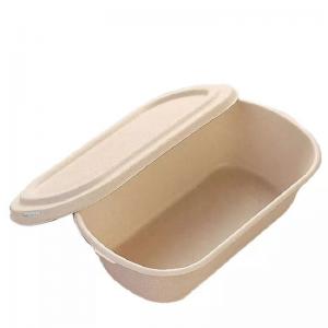 China 850ml 1000ml Compostable Sugarcane Container Disposable Take Away Lunch Box on sale