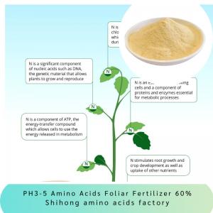 Cheap PH3-5 Amino Acids Foliar Fertilizer 60% Powder Form 65072-01-7 No Caking Light Yellow wholesale