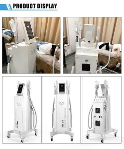 Cheap Sincoheren EMS Muscle Sculpting Machine , RF Body Contouring Machines ISO13485 wholesale