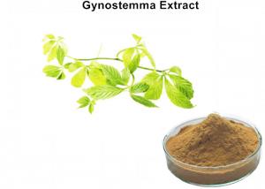Cheap Anti - Cancer Gynostemma Pentaphyllum Leaf Extract , Gynostemma Extract Powder Anti - Aging wholesale