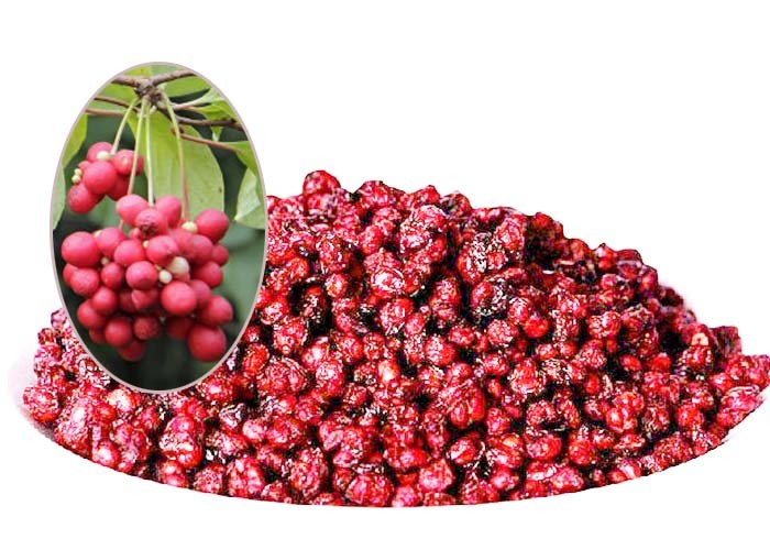 Cheap Heath Care Material Traditional Chinese Herbal Medicine Schisandra Berry wholesale