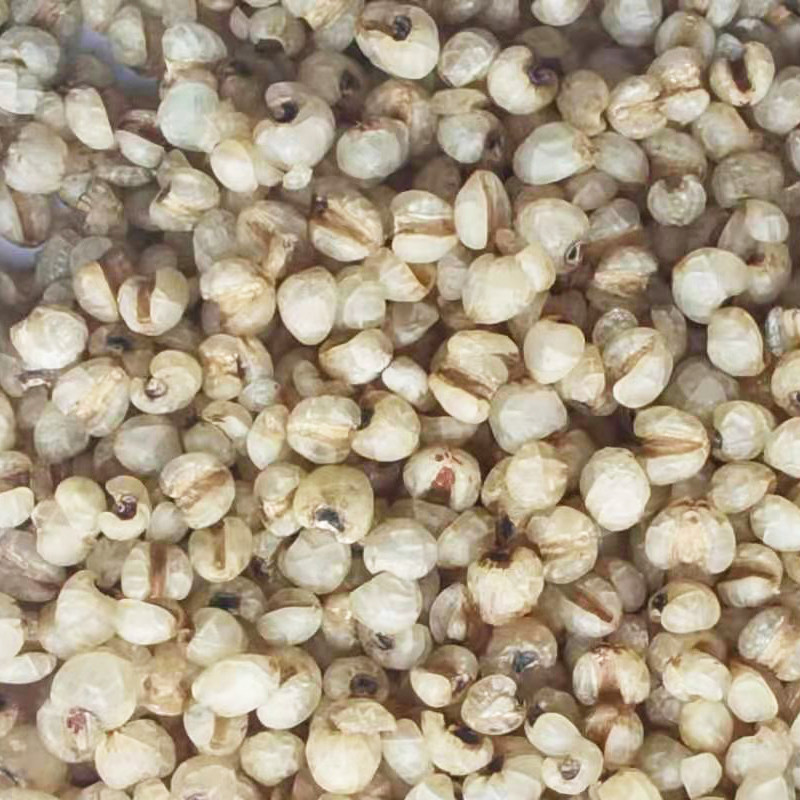 Cheap 100% Pure Natural Steamed Job'S Tear Roasted For Drink wholesale