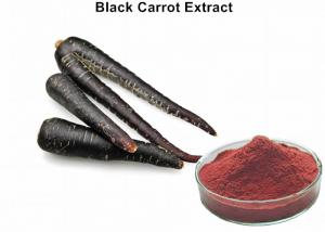 Cheap Black Carrot Extract Anthocyanin Extract Powder Losing Weight Dark Red Powder wholesale