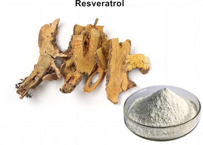 Buy cheap Anti Oxidation Monomer Powder 98% Resveratrol / Trans Resveratrol CAS 501 36 0 from wholesalers