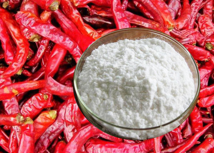 Cheap Solvent Extraction Red Pepper Food Powder Seasoning wholesale