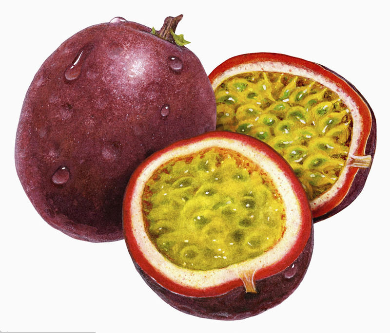 Cheap Custom Passionflower Fruit Juice Powder Improve Juice Taste And Scent For Food wholesale