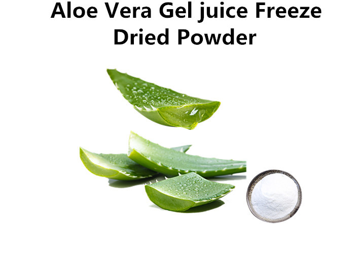 Cheap Beverages Freeze Dried Aloe Vera Powder , Aloe Vera Inner Leaf Powder Extract wholesale