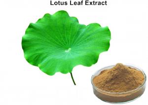 Cheap Losing weight natural botanical extracts, lotus leaf extract powder with Nuciferine powder wholesale