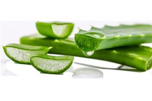 Cheap Healthy Aloe Vera Leaf Powder , Spray Dried Aloe Vera Powder For Cosmetics Hygiene Products wholesale