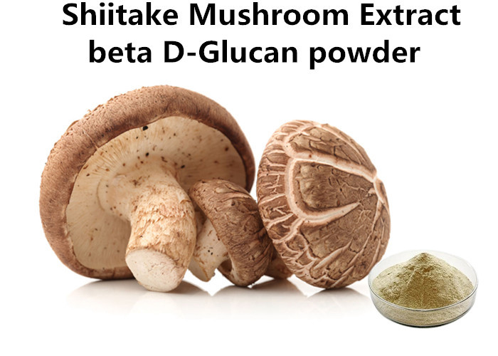 Cheap Natural Shiitake Mushroom Polysaccharides Extract Beta D-Glucan Powder Improve Immunity wholesale