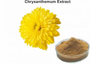 Cheap Brown Fine Chrysanthemum Tea Powder , Chrysanthemum Flower Extract Anti - Hypoxia wholesale