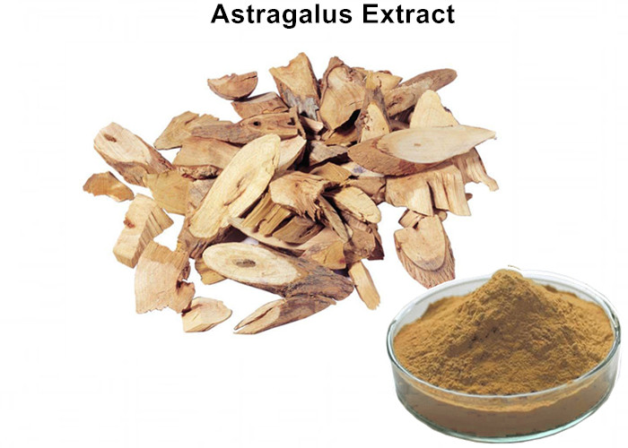 Cheap Pharmaceutical Astragalus Extract Powder, Astragalus Membranaceus Root Extract Improving Immunity wholesale