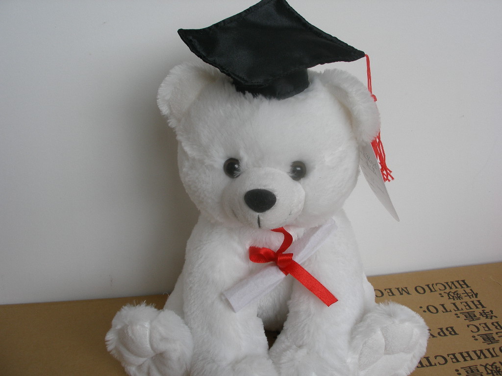 China Graduation Bear on sale