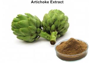 Cheap Artichoke Leaf Extract Plant Extract Powder Cynarin And Chlorogenic Acid For Weight Loss wholesale