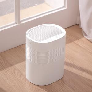 China Electric 3.2 Pint Small Room Dehumidifier For Bathroom 200 Sq Ft 1L Tank Portable on sale