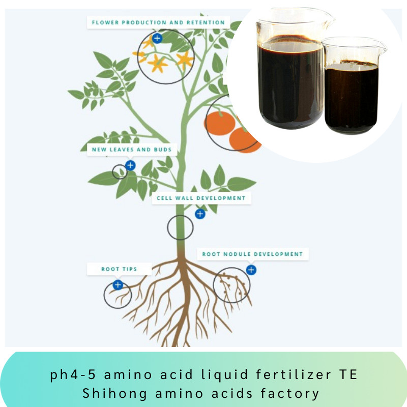 Cheap PH 4-6 Amino Acid Chelated Micronutrients Fe Zn B Mn Cu Mo Organic Liquid Fertilizer wholesale