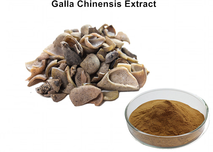 Cheap 40% - 90% Ellagic Acid Powder , Health Food / Cosmetics Galla Chinensis Extract wholesale