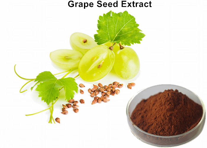 Cheap Healthy Care Grapeseed Extract 95% Polyphenols, Anti - Oxidant Grapeseed Oil Extract  For Skin wholesale