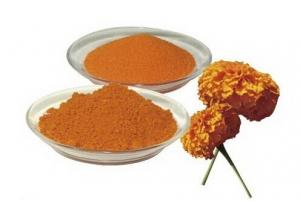 Cheap Orange Red Powder Natural Food Pigments Lutein Marigold Extract Slowing Atherosclerosis wholesale